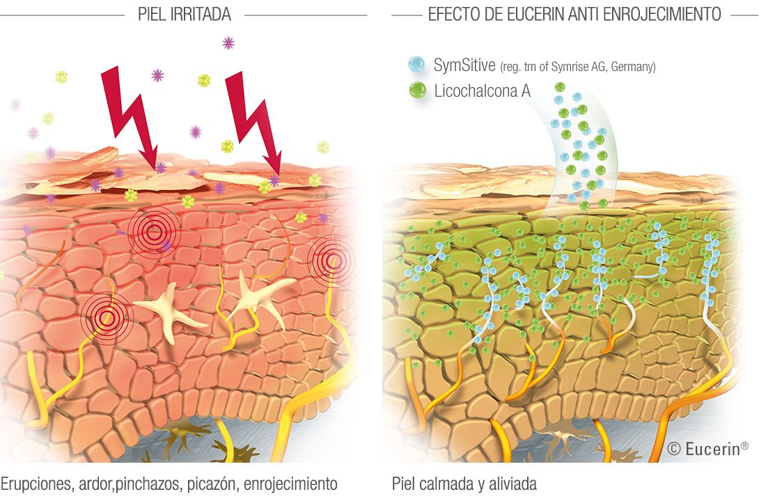 Diagrama para ilustrar el efecto de los productos Eucerin Anti-Enrojecimiento